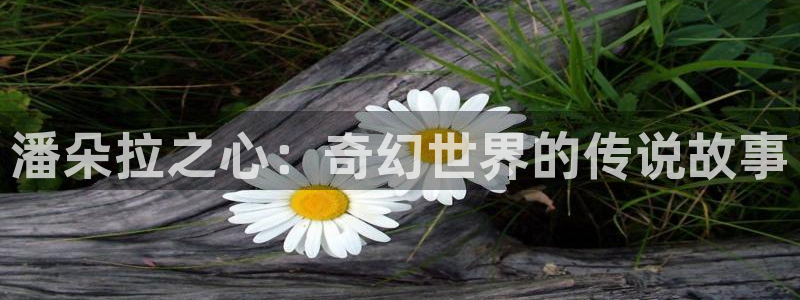 www.禁漫天堂