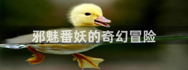 禁漫禁天堂a漫入口