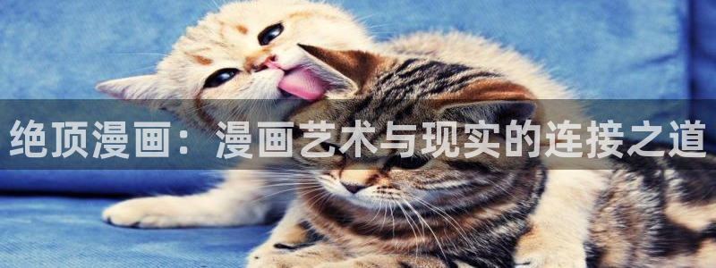 禁漫jm天堂：绝顶漫画：漫画艺术与现实的连接之道