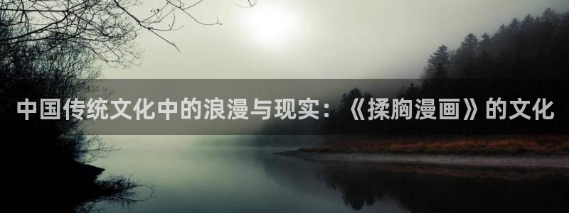 禁漫天堂怎么上：中国传统文化中的浪漫与现实：《揉胸漫画》的文化