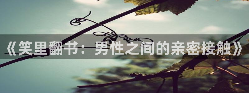 禁漫天堂怎么升级