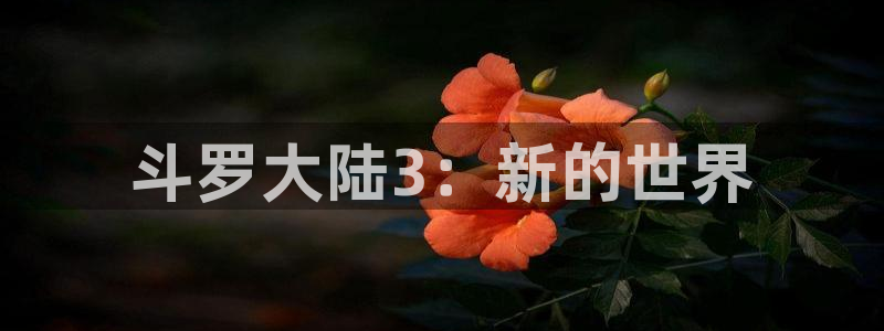 韩国禁漫在线免费观看：斗罗大陆3：新的世界