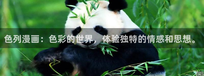 18+禁漫天堂