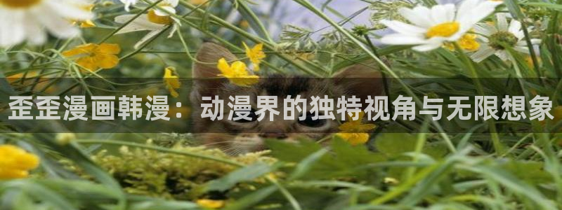 禁漫天堂进不去