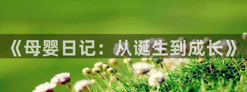 m禁漫天堂下载：《母婴日记：从诞生到成长》
