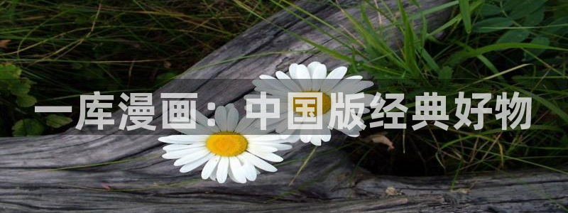 禁漫天堂免费网站