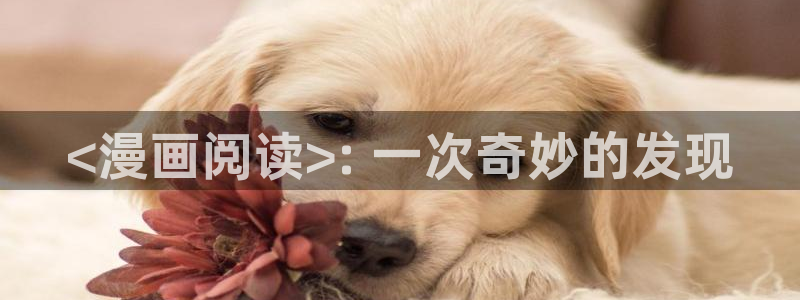 ,禁漫天堂