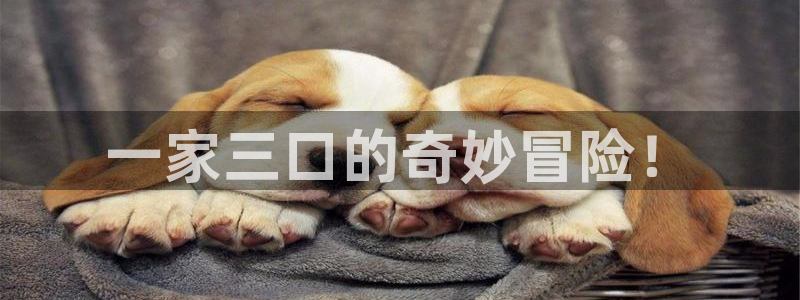 jm禁漫天堂网页