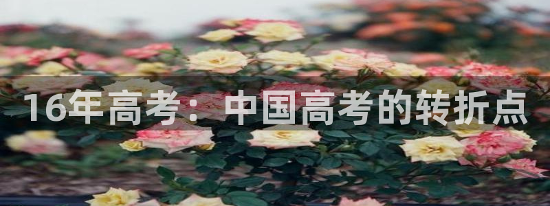 禁漫天堂为什么打不开