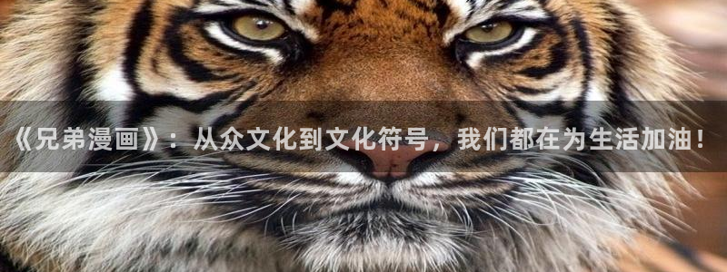 禁漫天堂不能用了