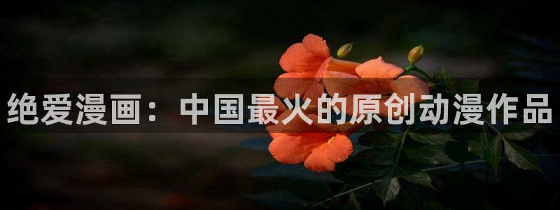禁漫天堂jmcomic2