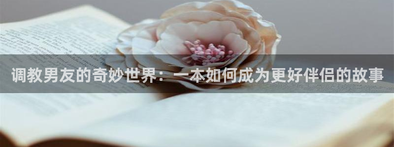 acfan禁漫天堂：调教男友的奇妙世界：一本如何成为更好伴侣的故事