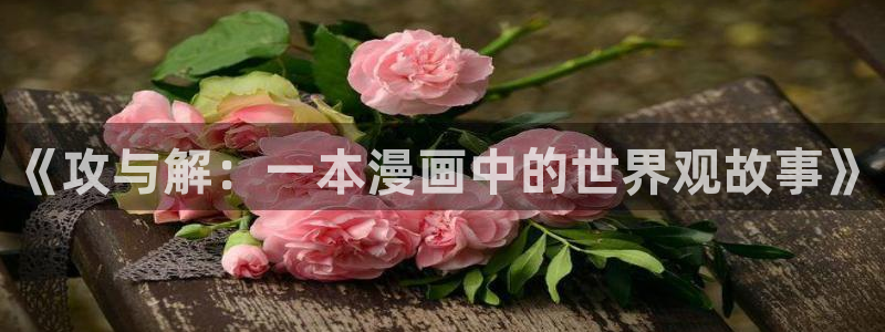 禁漫天堂永久发布页：《攻与解：一本漫画中的世界观故事》