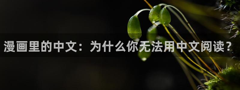 禁漫天堂照片